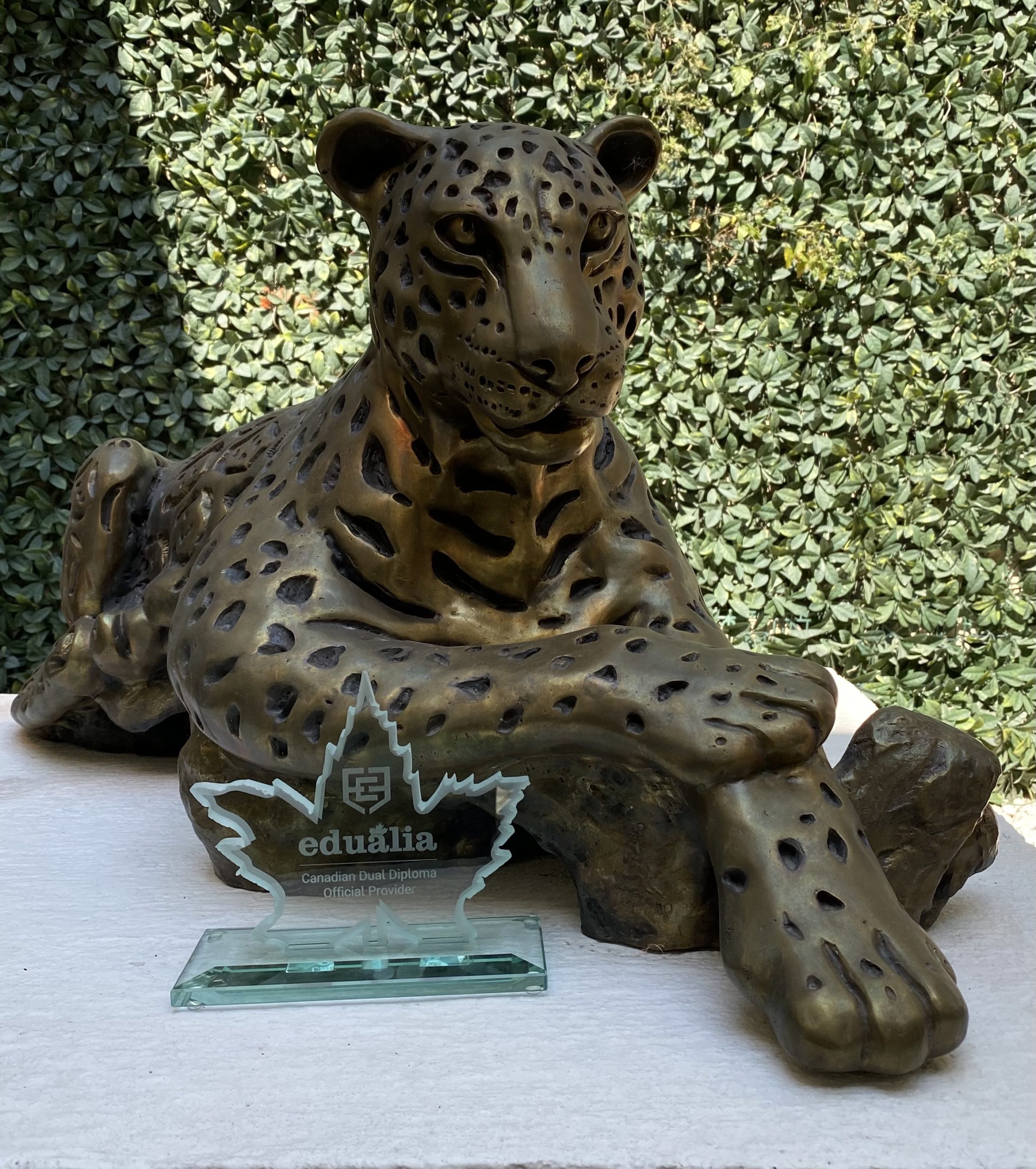 Primera generación de Edualia cumple un año estudiando para la doble certificación